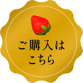 ご購入はこちら
